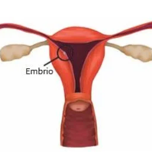 Asesmen Diagnostik Hormon dan Reproduksi